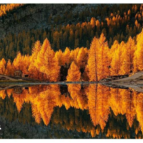 بمیروم بمیروم بمیروم غم توی چشمات نبینم بلند بالای